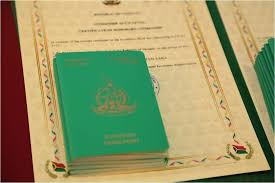 The True Cost of a Vanuatu Passport Understanding Prices and Benefits The True Cost of a Vanuatu Passport Understanding Prices and Benefits